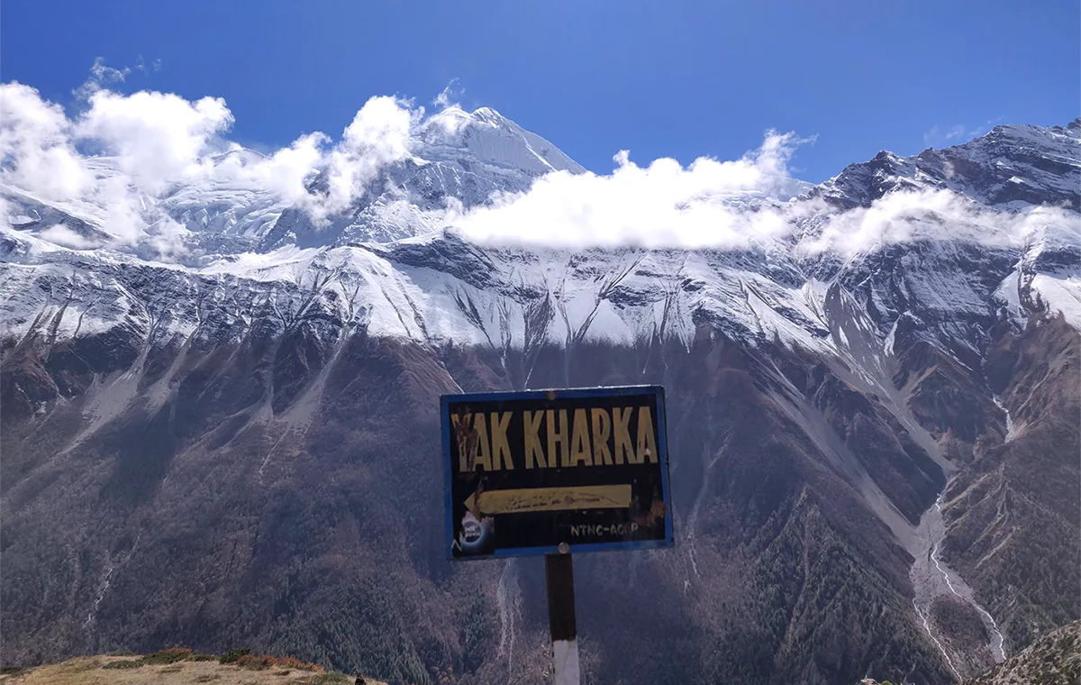 Yak Kharka, During Annapurna Circuit Trek