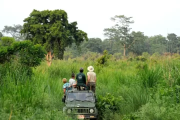Chitwan Jeep Safari
