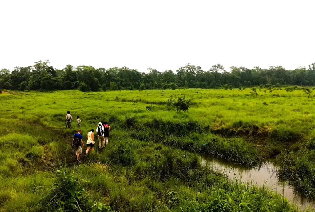 Jungle Hiking in Chitwan National Park