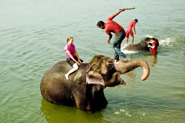 Elephant Bathing Experience during Chitwan National Park tours