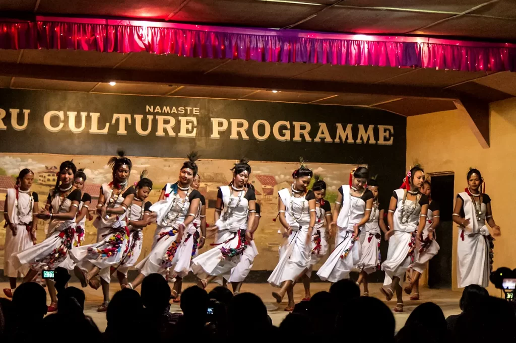 Tharu Cultural Dance at Chitwan